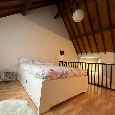 Le Mortier D'Or Duplex Hyper Centre Ville 特鲁瓦 外观 照片