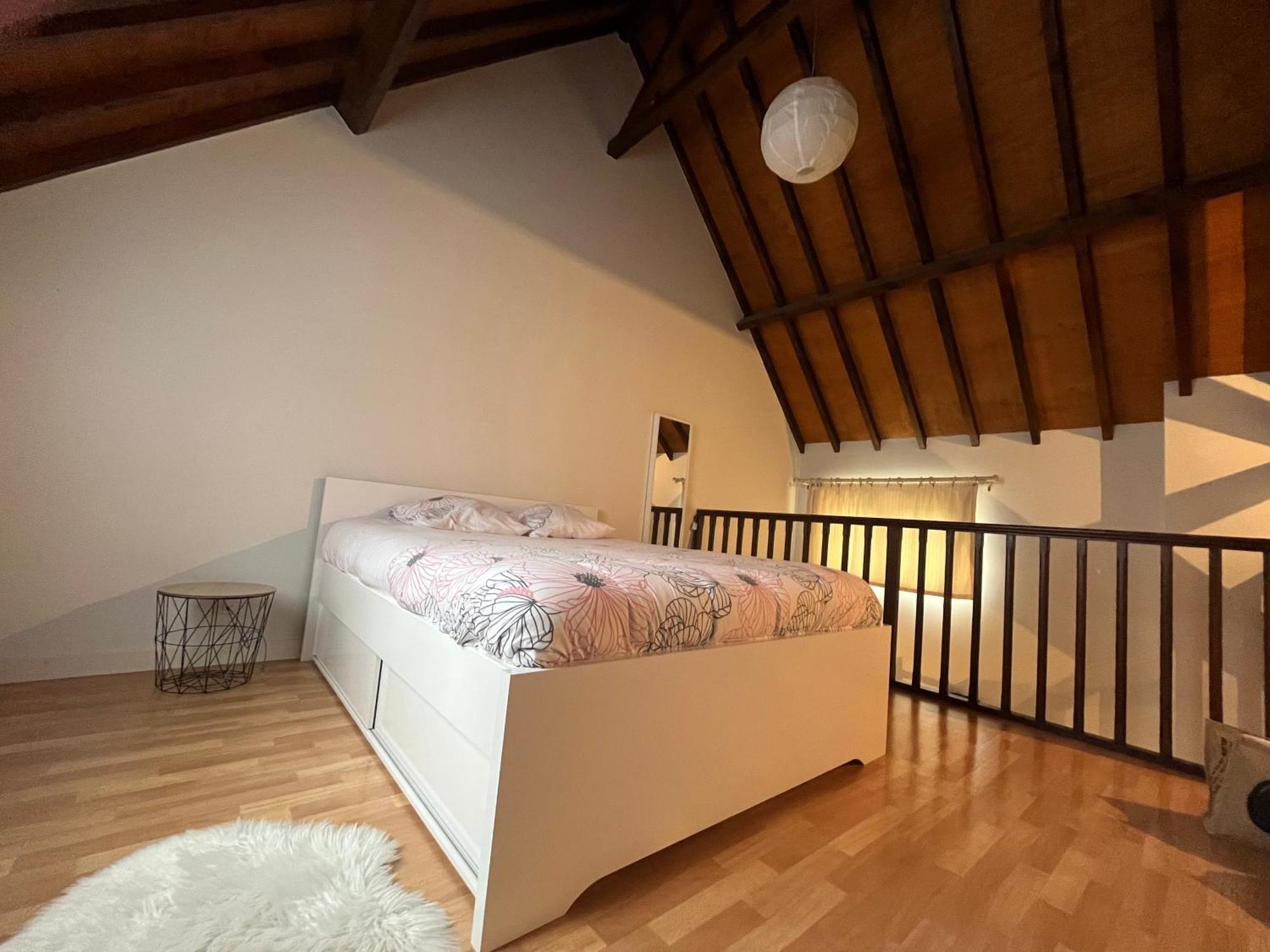 Le Mortier D'Or Duplex Hyper Centre Ville 特鲁瓦 外观 照片