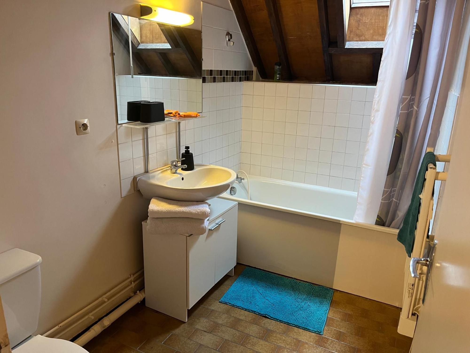 Le Mortier D'Or Duplex Hyper Centre Ville 特鲁瓦 外观 照片